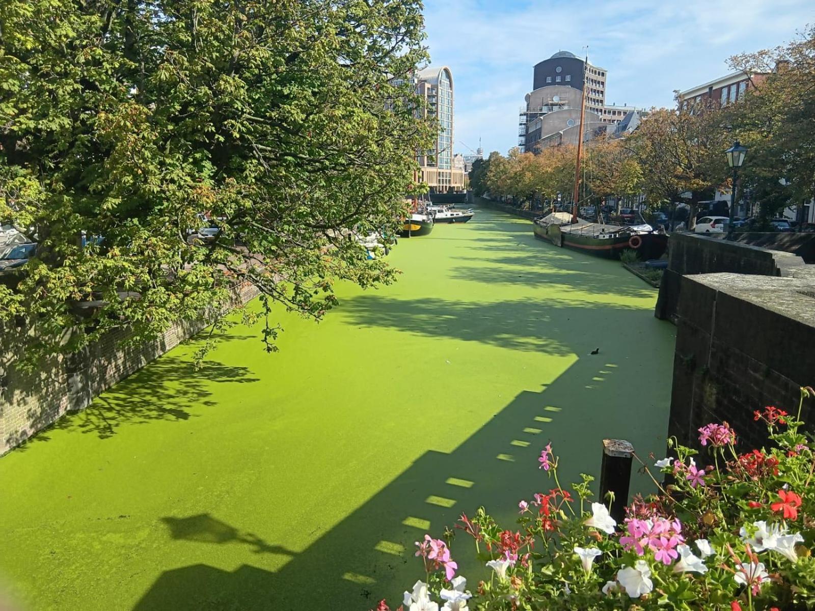 Downtown Apartment Den Haag